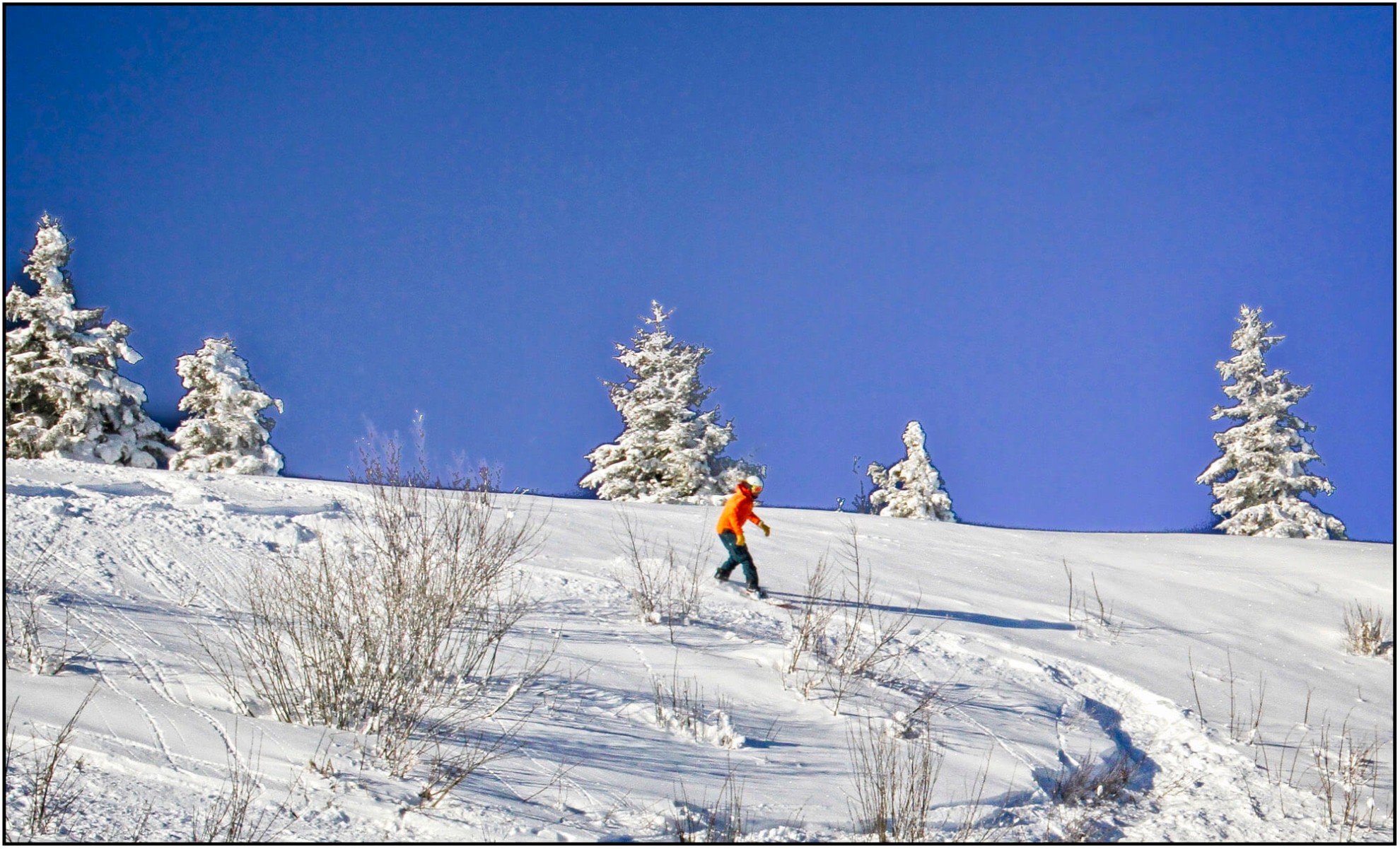 04 snowboarder in powder next to yeti