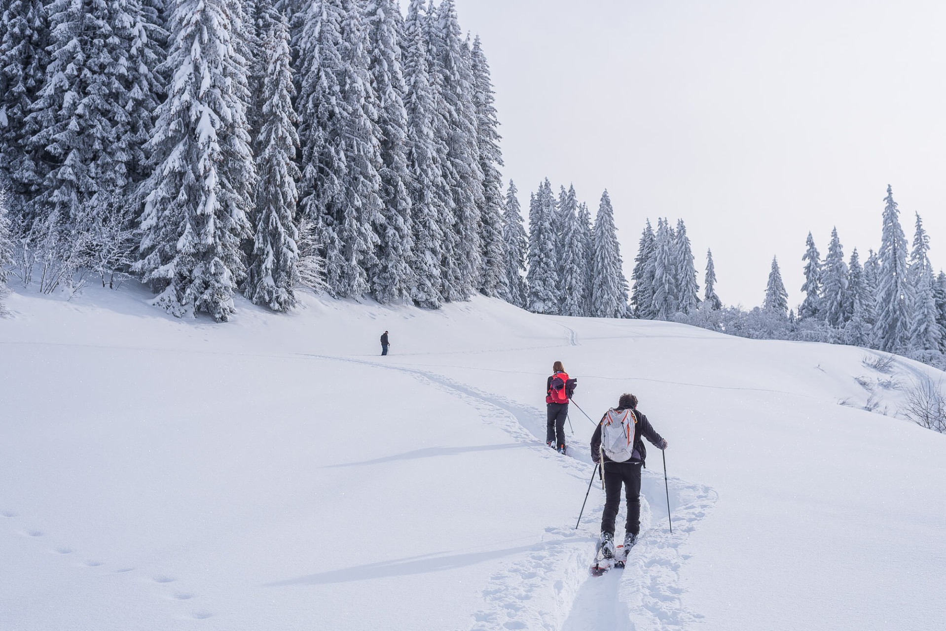 02 ski touring around les folliets 16 01 21