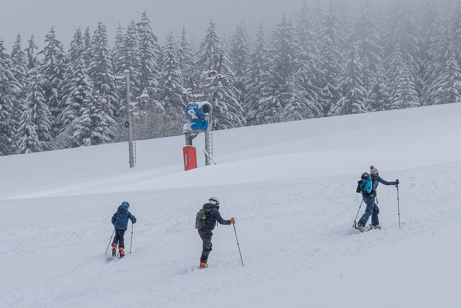 20cm Fresh Snow fell overnight - Les Gets - Pictures taken today