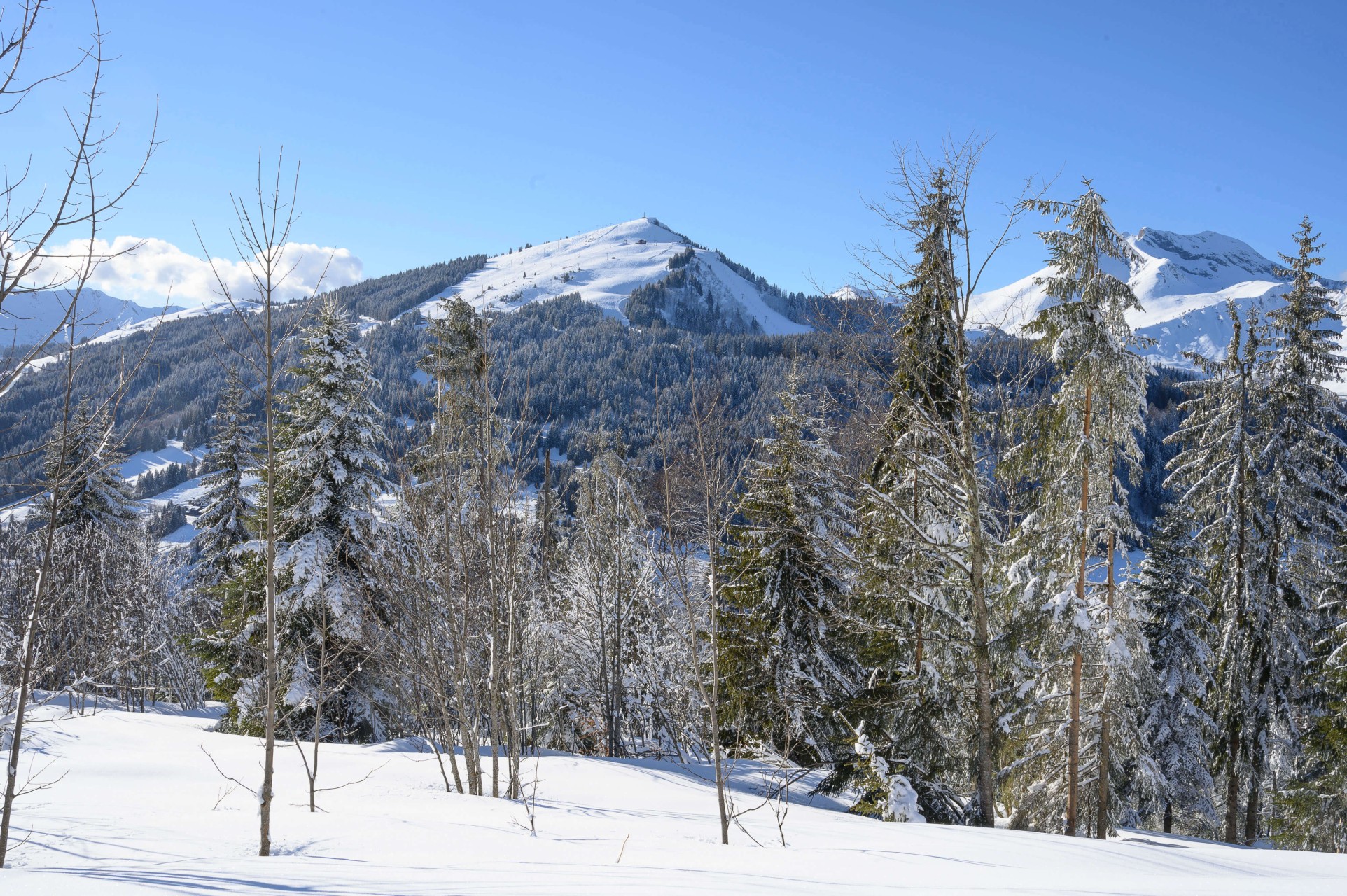 03 vassilief new chalet views white clouds and snow