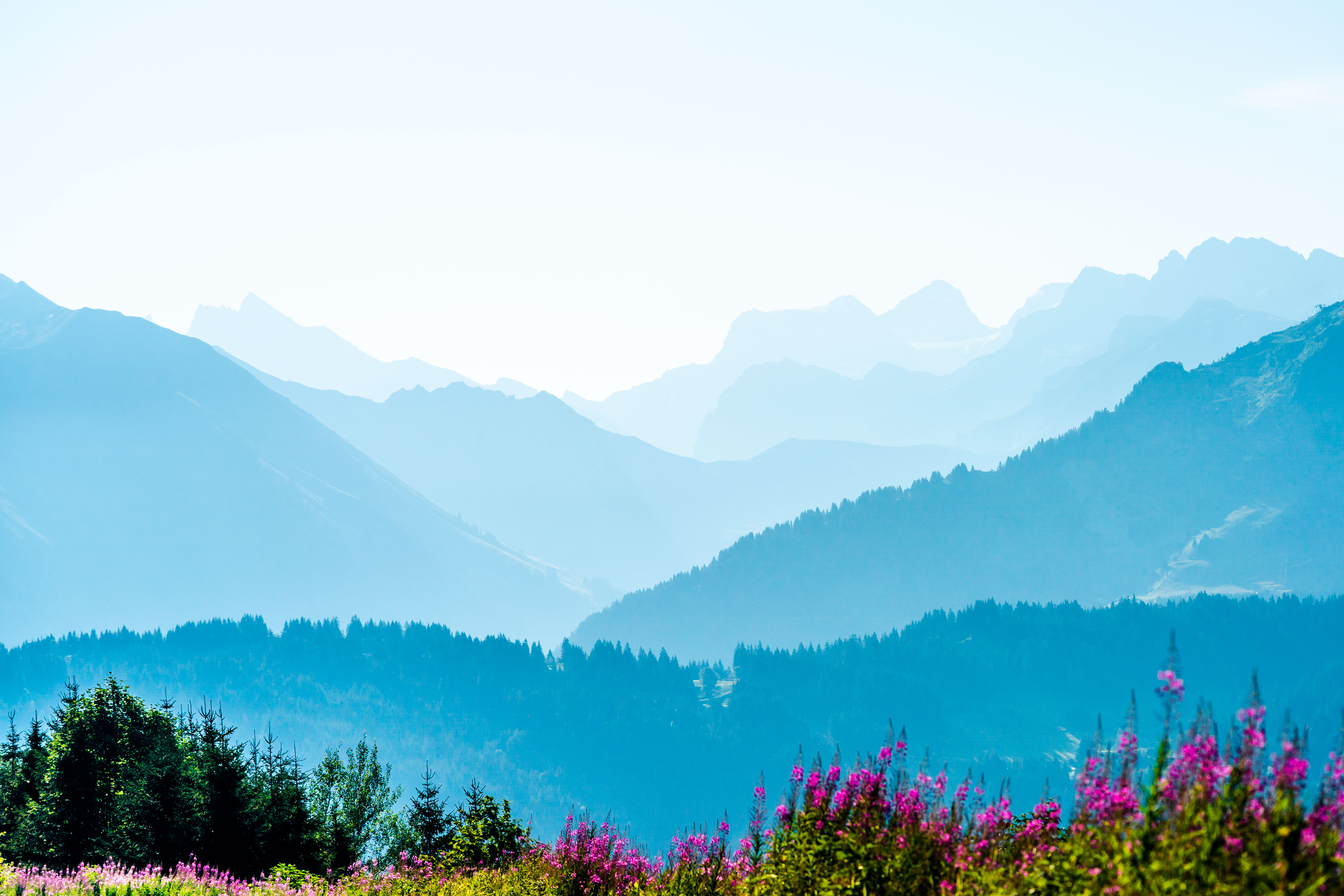 Finding Calm in the Alps: Nature and Relaxation in Les Gets